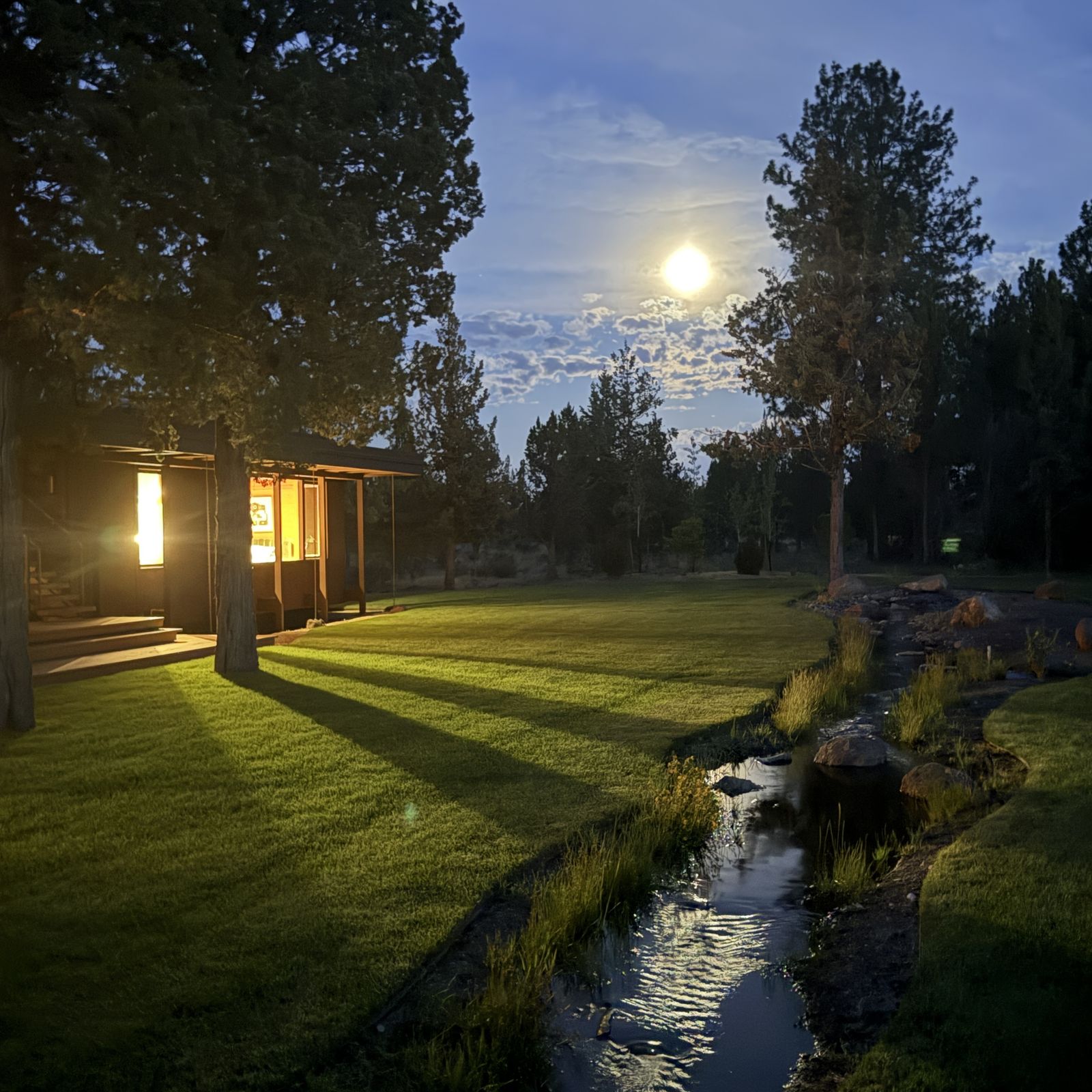 Moonlit landscape featuring a cabin with warm light, surrounded by trees